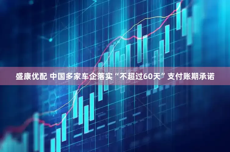 盛康优配 中国多家车企落实“不超过60天”支付账期承诺